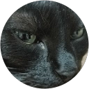 Tudor profile picture